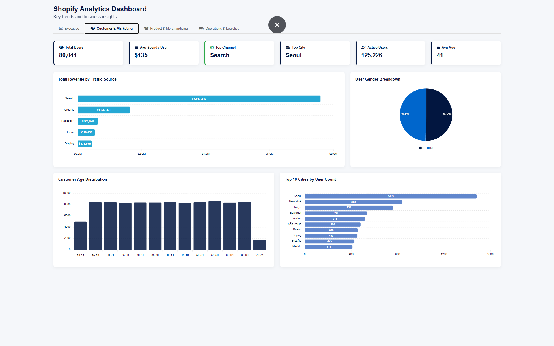 Shopify Analytics Dashboard - Customer and Marketing page with traffic sources, demographics, and city breakdown